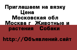 Приглашаем на вязку › Цена ­ 4 000 - Московская обл., Москва г. Животные и растения » Собаки   